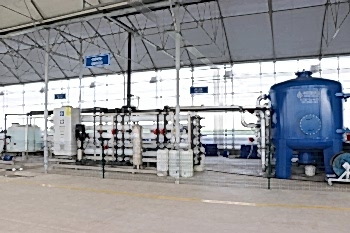  Koyuncu Seracılık