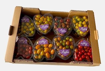 Cherry Domates